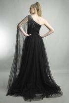 Back View
