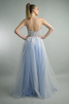 Back View