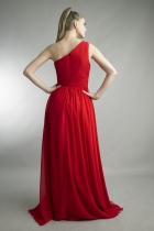 Back View