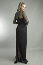 Back View