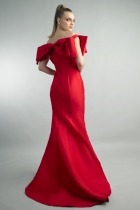 Back View