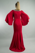 Back View