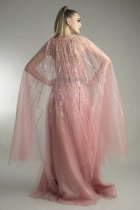 Back View
