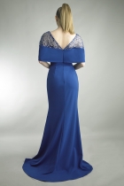 Back View