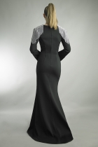 Back View