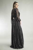 Back View