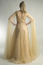 Back View