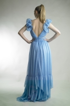 Back View