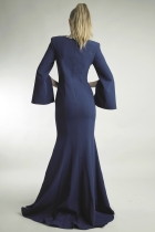 Back View