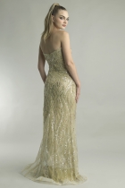 Back View