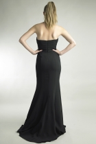 Back View
