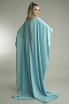 Back View