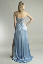 Back View