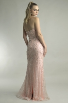 Back View