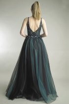 Back View