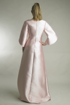 Back View