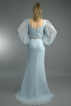 Back View