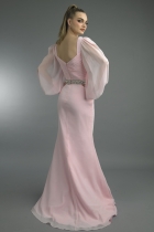 Back View