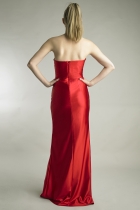 Back View