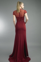 Back View