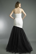 Back View