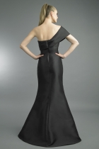Back View