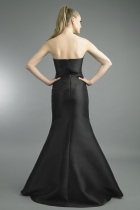 Back View