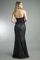 Back View