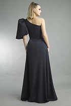 Back View