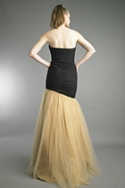Back View