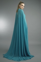 Back View