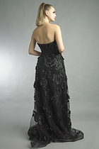 Back View
