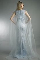 Back View