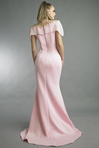 Back View