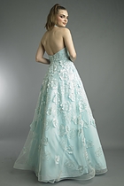 Back View
