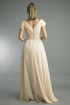 Back View