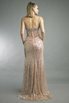 Back View