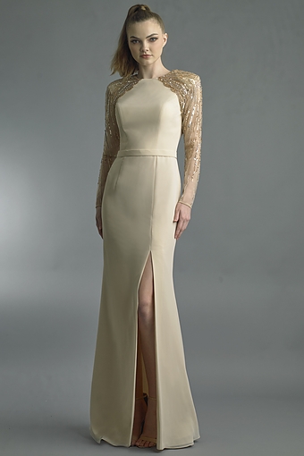 Beaded Illusion Sleeve Column Gown