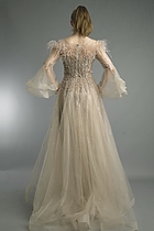 Back View