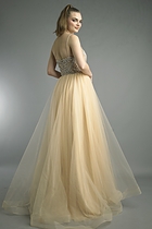 Back View