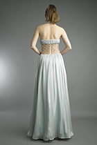 Back View