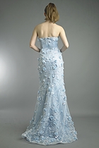 Back View