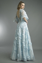 Back View
