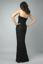 Back View