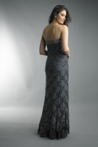 Back View