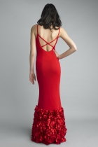 Back View