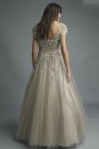 Back View