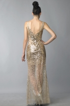 Back View