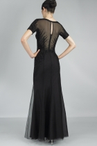 Back View