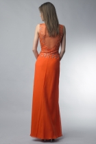 Back View